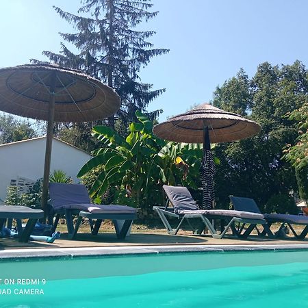 Bed and Breakfast Mas des Vignes Piscine chauffée Le Champ-Saint-Pere Exterior foto