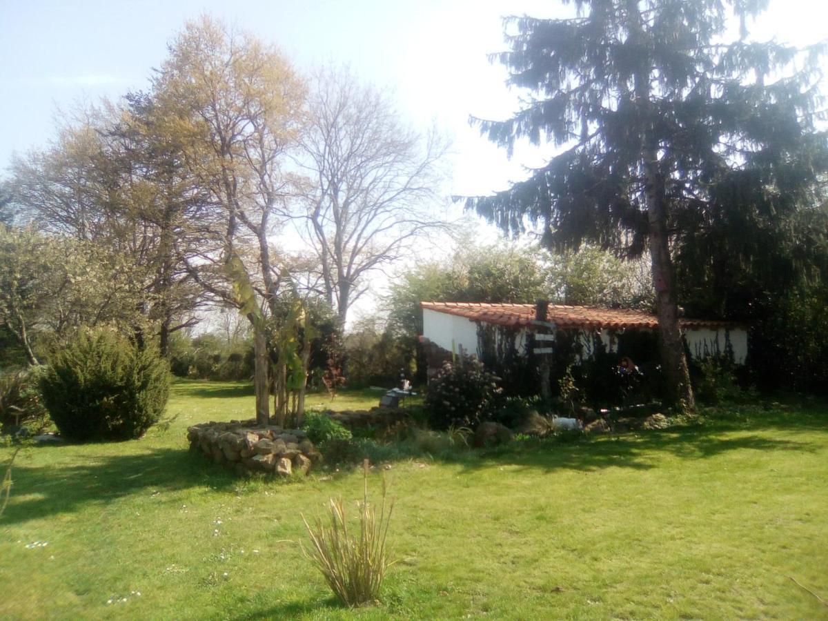 Bed and Breakfast Mas des Vignes Piscine chauffée Le Champ-Saint-Pere Exterior foto