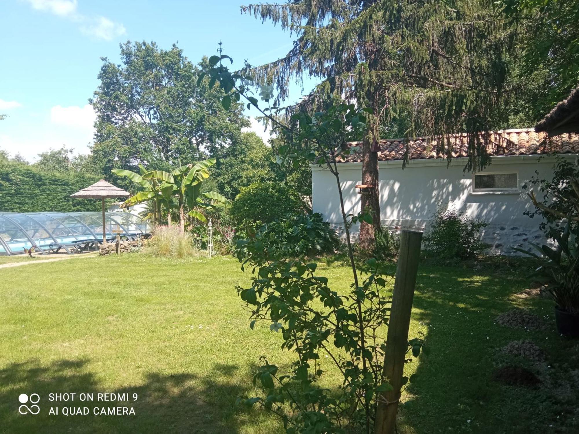 Bed and Breakfast Mas des Vignes Piscine chauffée Le Champ-Saint-Pere Exterior foto